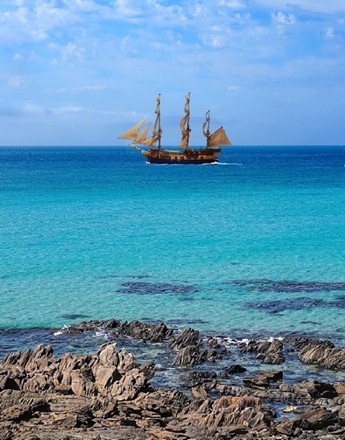 investigator sailing